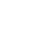 Golden Retriever Best Buddy