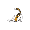 Katze Kater Katzen