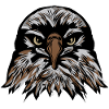 head eagle fancy drawing