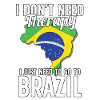 Brazil flag I Brazilian souvenirs