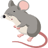 Maus Illustration – handgezeichnetes Tiermo