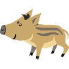 Bébé sanglier mignon – illustration mignonne