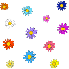 Bunte Blumenwiese