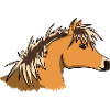Portrait Fjord decoiffed