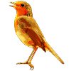Rouge-gorge chantant