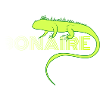Bonaire Design Green