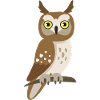 Cute Owl – Cute Animal Illustration
