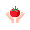 Garden Gardener Tomatoes Dealer