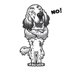 Sturer English Setter Dog