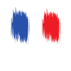 France flag flag football France