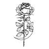 Blanc Noir Blanc Sorcière