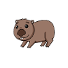 Wombat