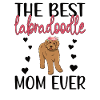 Labradoodle Dog Owner Labradoodle Mama
