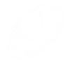 Rugby Addict Player Rugby Coach Ball Terms