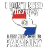 Paraguay flag I Paraguay Souvenirs