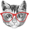Chat chat avec lunettes