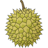 Durian - Maharlika