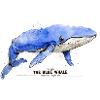 Blue Whale T-Shirt