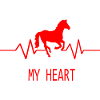 Pferd Horse