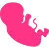 foetus bebe