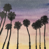 Palm trees at sunrise sunset
