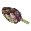 artichoke
