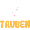 Taube Tauben Vogel