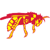 hornet bee guepe