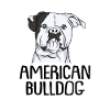American Bulldog