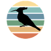 Hoopoe bird nature protection