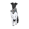 Foxterrier Drahthaar Kuscheltier