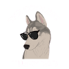 Husky dad