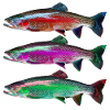 Fische Angeln Popart
