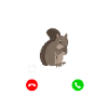 Squirrel Tshirt Chipmunk Squirrel Nut