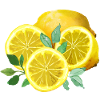 Lemons, yellow, lemon slices