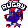 France rugby