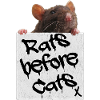 Rat - Rats avant les chats