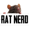 Rat - Rat Nerd