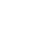 Hippie Transporter
