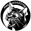 stop catcalling