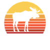 Élan