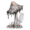 ink fungus