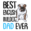 English Bulldog Dad