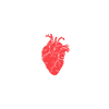 You'll always have a place in my right Ventricle