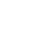 20 number crown