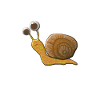 Just a snail