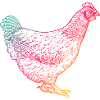 Poulet