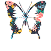 Cute flowers butterfly