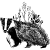 Badger in the Grass - Lined Nature