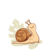 snail